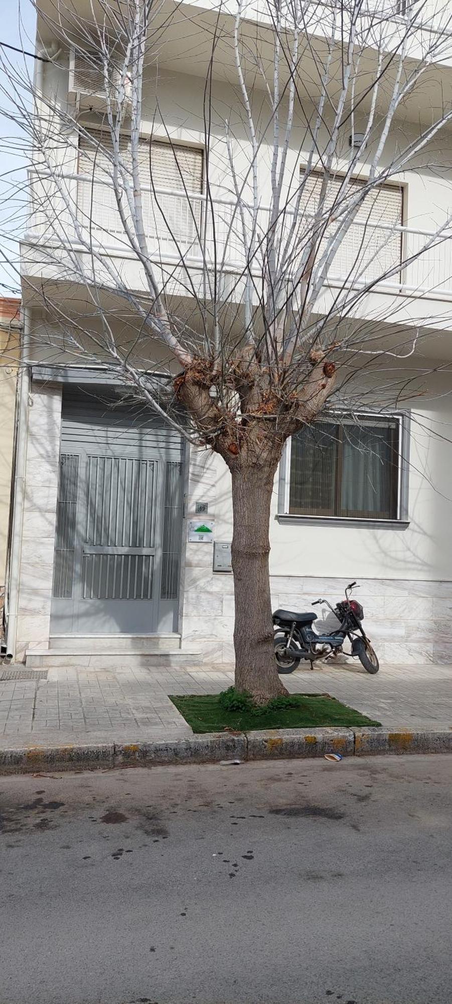 Yianni's Home-comfort In Apartment Volos